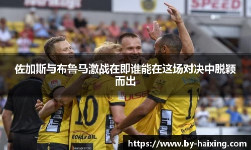 佐加斯与布鲁马激战在即谁能在这场对决中脱颖而出